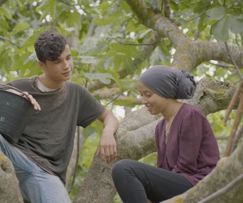 Une scène du film Under the Fig Trees
