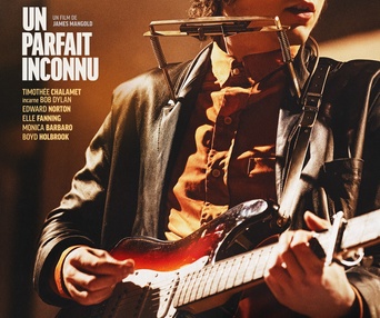 Affiche du film Un parfait inconnu