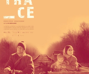 Affiche du film Nulle trace
