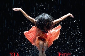 Affiche du film Pina