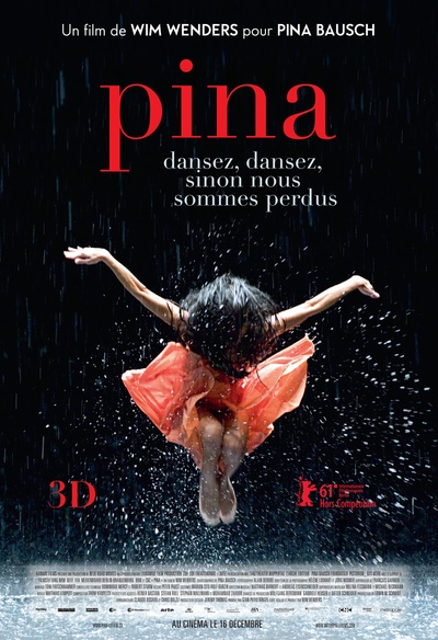 Affiche du film Pina