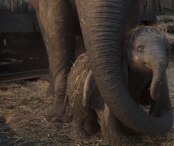 Une scène du film Dumbo
