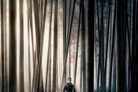 Affiche du film Robin Hood Affiche du film Robin Hood