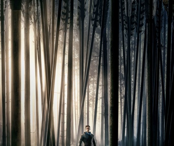 Affiche du film Robin Hood