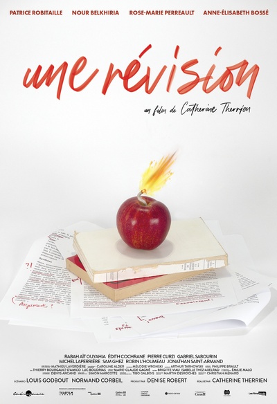 Affiche du film Une révision