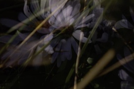 Image du film Archéologie de la lumière