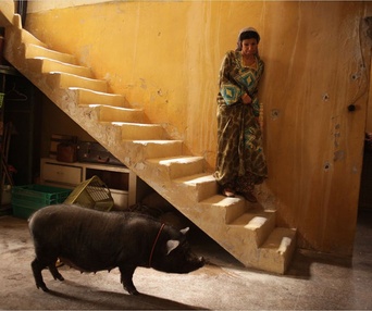 Une scène du film Le cochon de Gaza