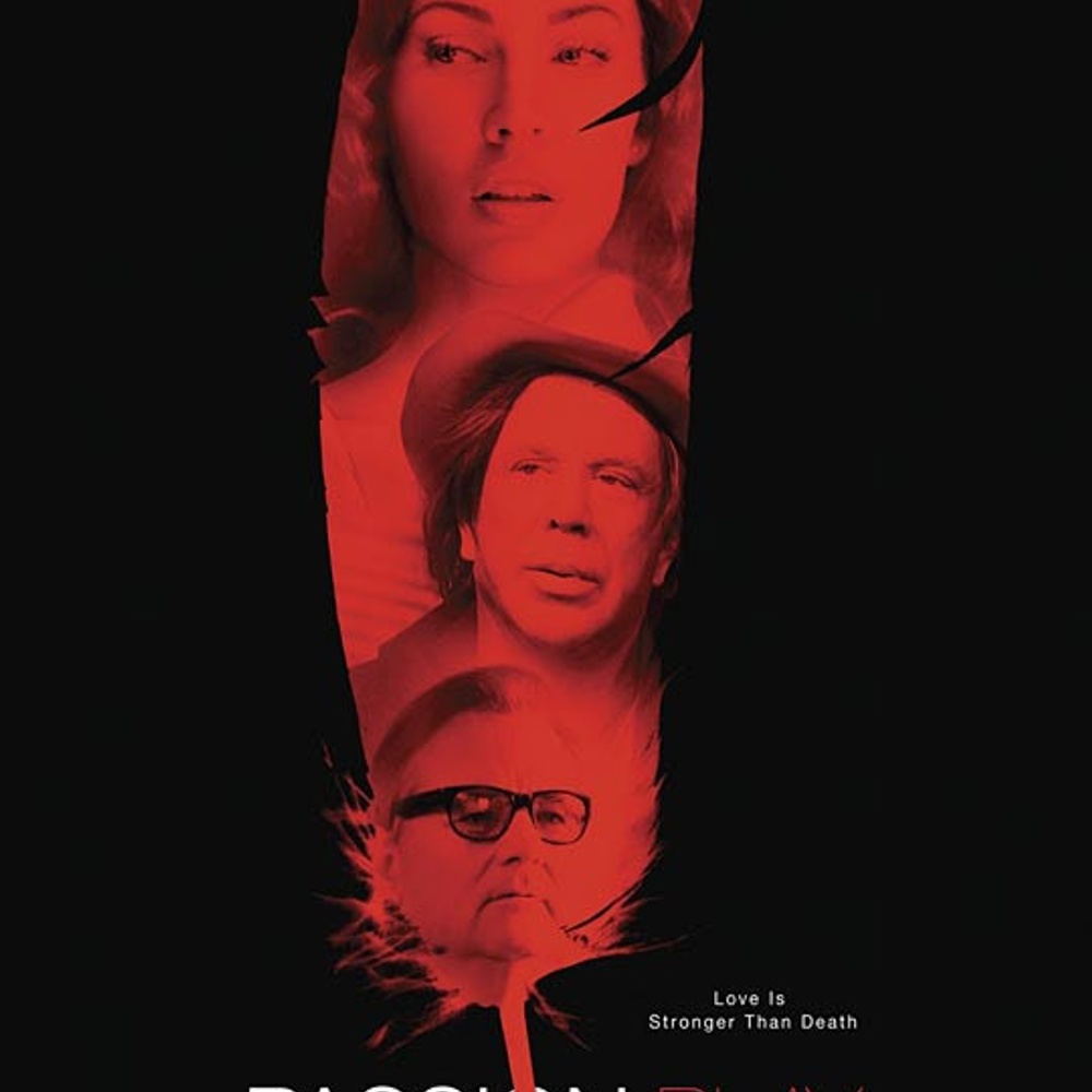 Affiche du film Passion Play