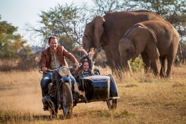 Une scène du film Mia et le lion blanc