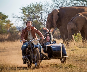 Une scène du film Mia et le lion blanc