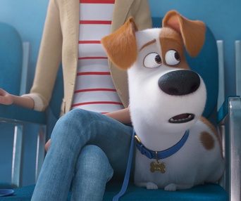 Une scène du film The Secret Life Of Pets 2
