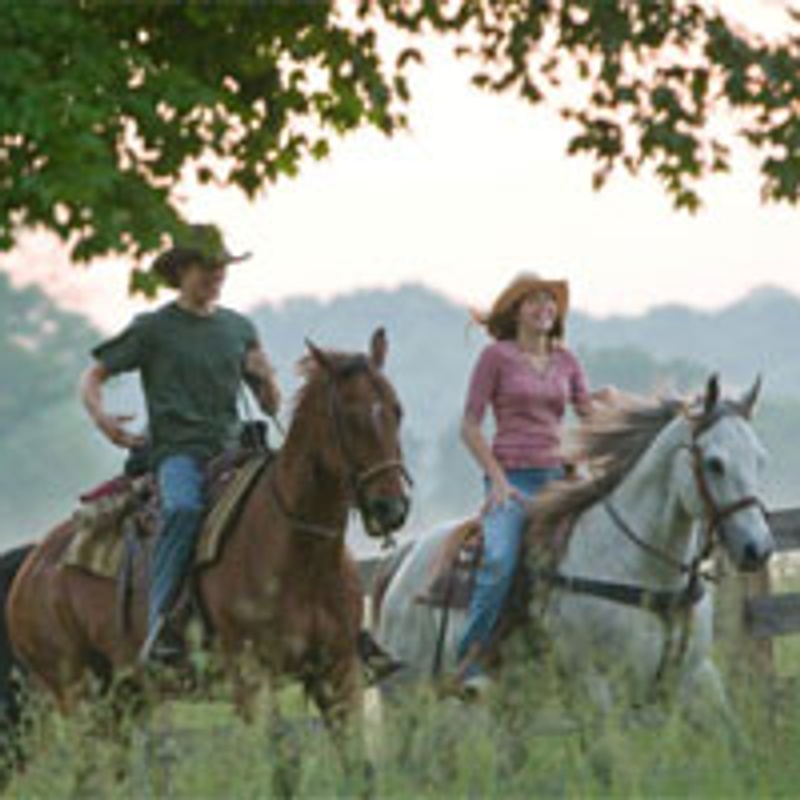 Miley Cyrus et Lucas Till dans le film Hannah Montana: The Movie