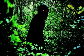 Une scène du film Oncle Boonmee - Celui qui se souvient de ses vies antérieures Une scène du film Oncle Boonmee - Celui qui se souvient de ses vies antérieures