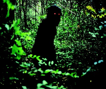 Une scène du film Oncle Boonmee - Celui qui se souvient de ses vies antérieures