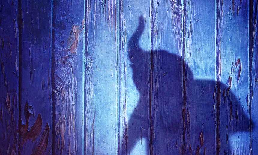 Tim Burton présente la première bande-annonce de son Dumbo