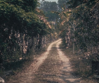 Une scène du film L'île de Sukwan
