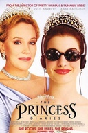 Affiche du film Le journal d'une princesse
