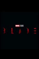 Affiche du film Blade
