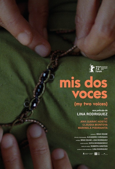 Affiche du film My Two Voices
