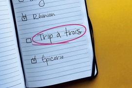Affiche du film Le trip à trois Affiche du film Le trip à trois