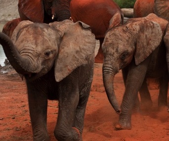 Une scène du film Born to Be Wild