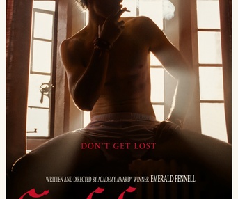 Affiche du film Saltburn