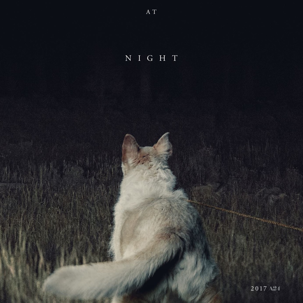 It comes at Night