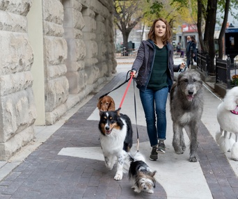 Une scène du film A Dog's Journey
