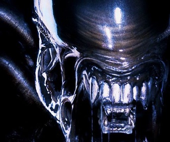 Affiche du film Alien Vs. Predator