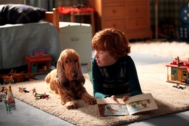 Une scène du film Boule et Bill