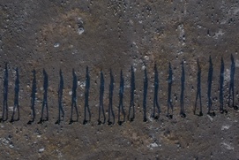 Image du film Rojek