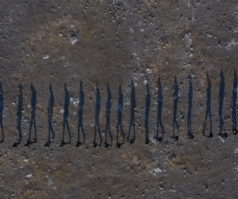 Image du film Rojek