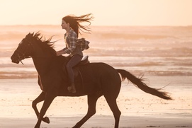 Une scène du film Black Beauty