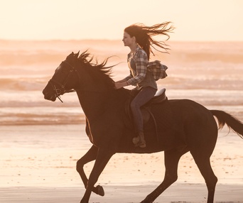 Une scène du film Black Beauty