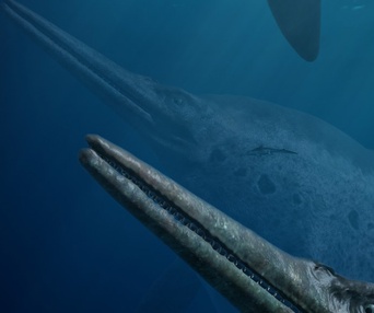 Une scène du film Sea Rex: Journey to a Prehistoric World 3D