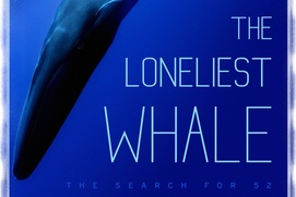 Affiche du film The Loneliest Whale