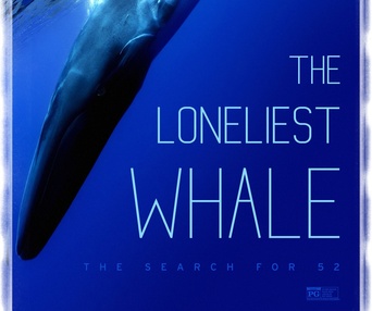Affiche du film The Loneliest Whale