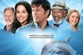 Affiche du film Histoire de dauphin