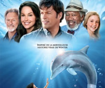 Affiche du film Histoire de dauphin
