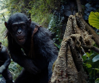 Image du film Kingdom of the Planet of the Apes