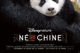 Affiche du film Né en Chine