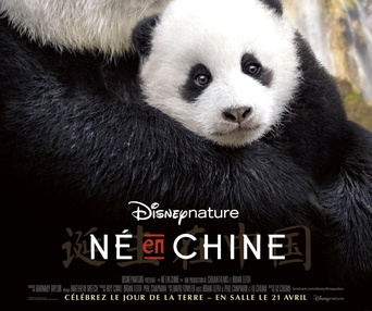Affiche du film Né en Chine