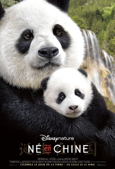 Affiche du film Né en Chine