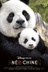 Affiche du film Né en Chine