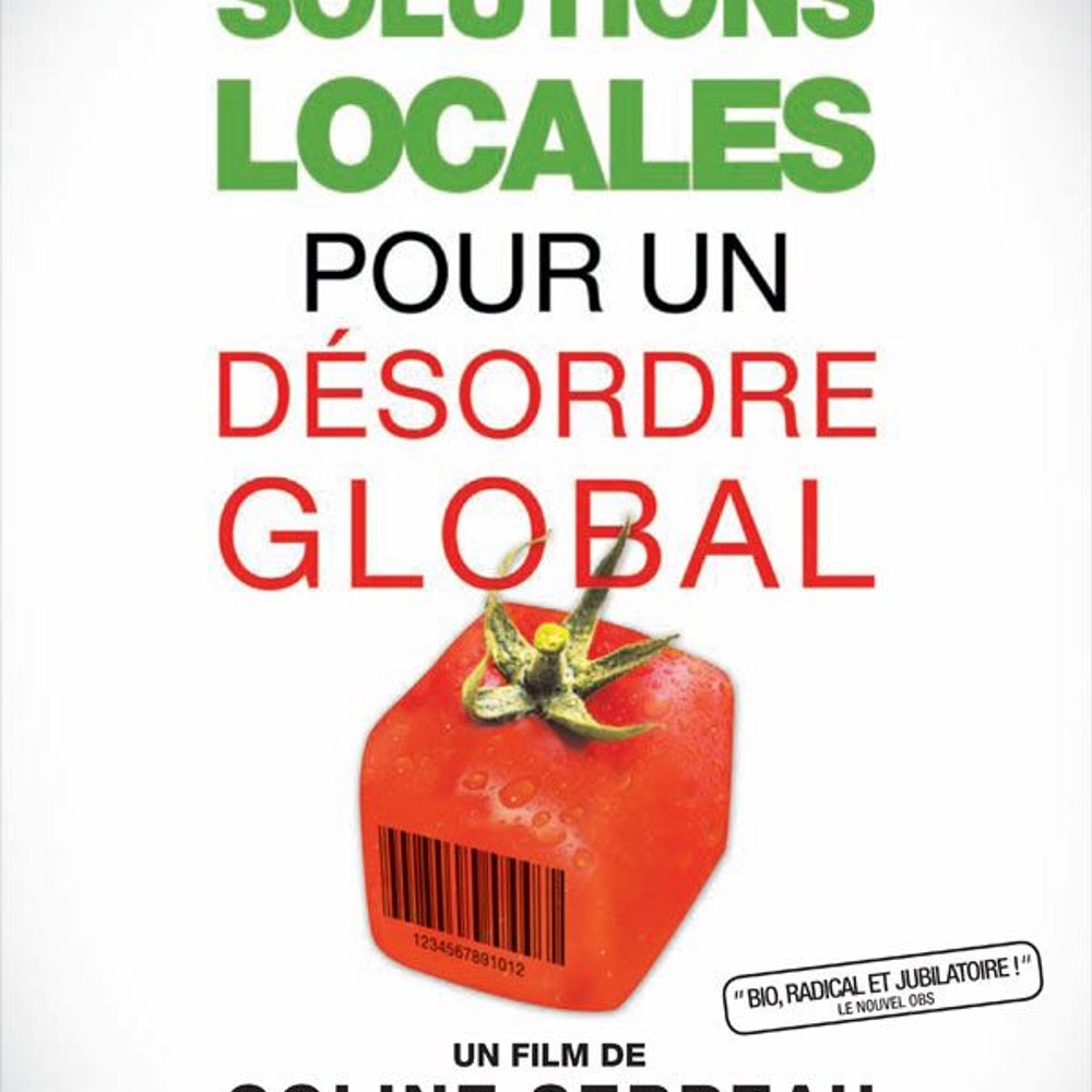 Affiche du film Solutions locales pour un désordre global