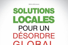 Affiche du film Solutions locales pour un désordre global