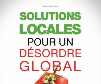 Affiche du film Solutions locales pour un désordre global