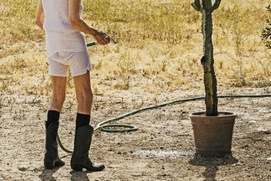 Affiche du film Lucky