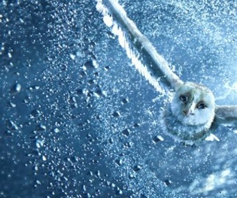 Une scène du film Legend of the Guardians: The Owls of Ga'Hoole