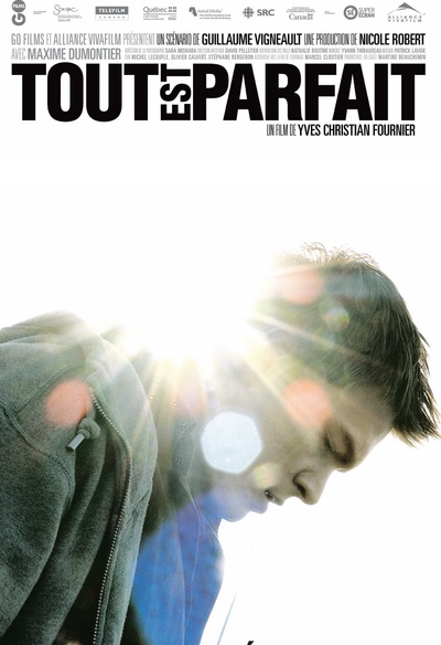 Affiche du film Tout est parfait